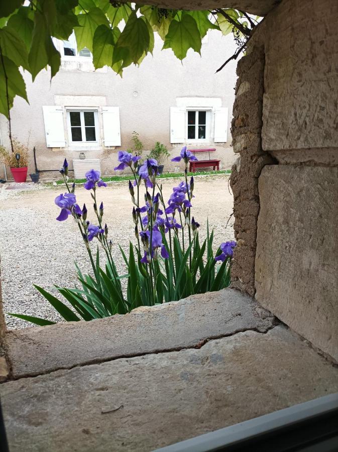 Les Iris - Chambre Erable Avanton Extérieur photo